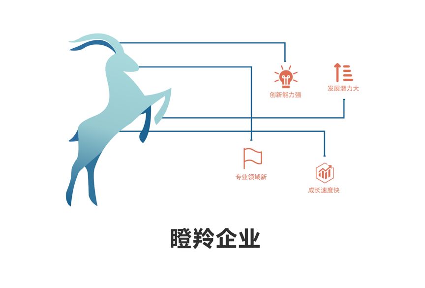 2019年瞪羚企业名单出炉 29家企业将获6700万瞪羚贷款