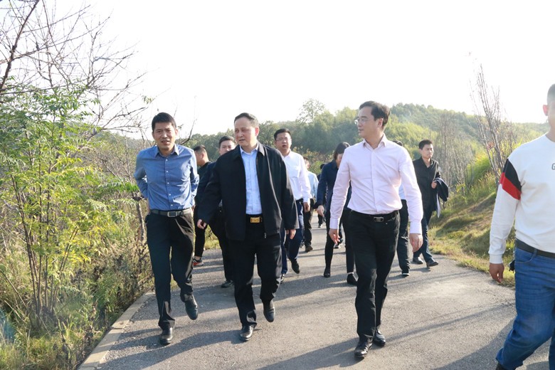 副市长顾峰一行来荷塘区调研美丽乡村建设工作