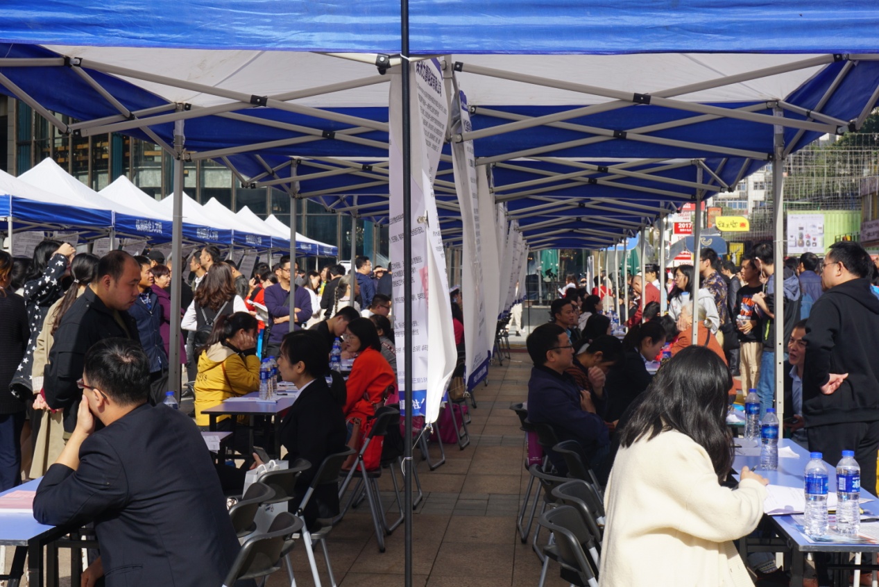 芦淞区举办2019年退役军人专场招聘会