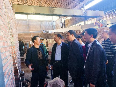 李晓葵同志一行深入炎陵调研软弱涣散基层党组织整顿工作并开展“五查五看”大走访