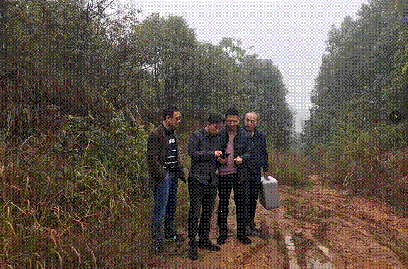 株洲市三调工作全面进入国家级核查反馈问题整改阶段