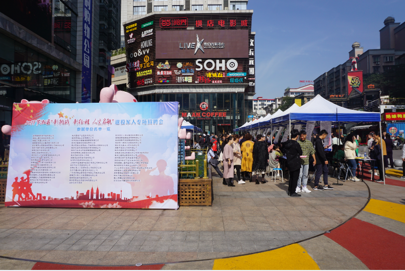 芦淞区举办2019年退役军人专场招聘会
