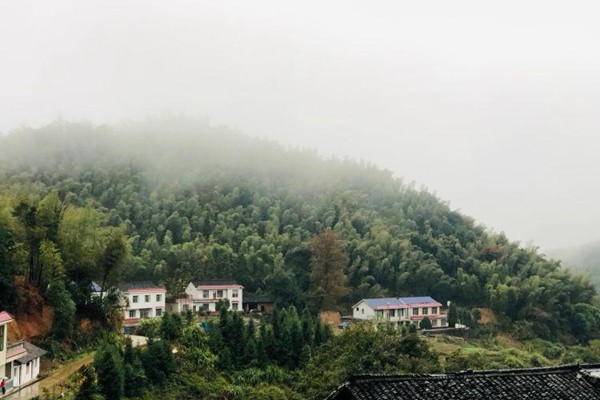 吴爱秋：一片秋心寄山乡（一）他在最开心的那天离去了