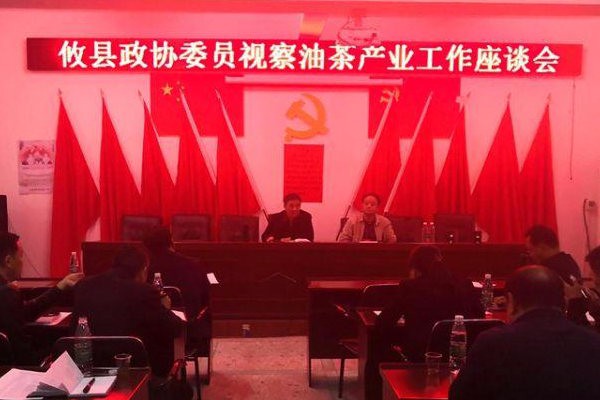 县政协委员视察油茶产业发展情况