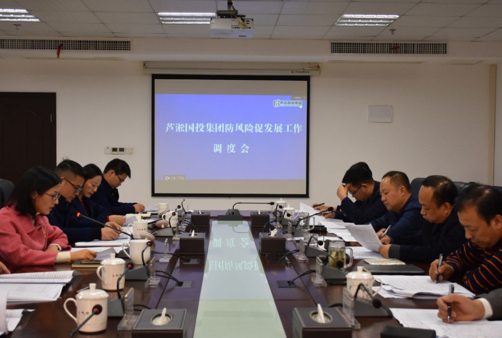 区长杨晓江带队调研芦淞国投集团防风险促发展工作
