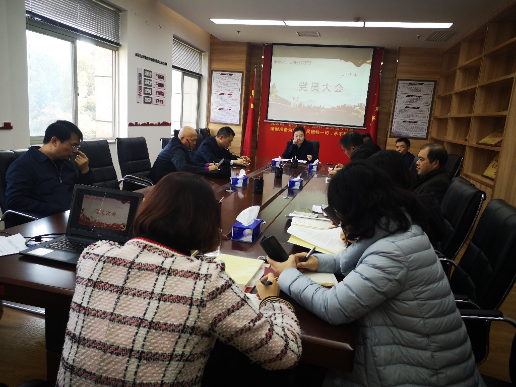 管委办、政府办党支部召开党员大会