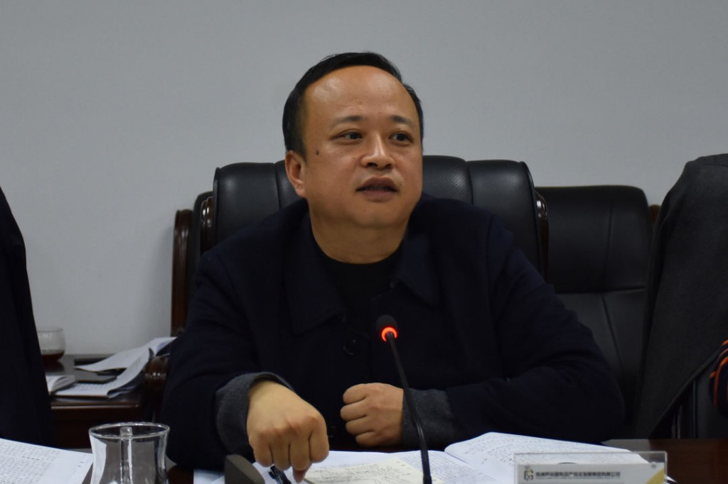 区长杨晓江带队调研芦淞国投集团防风险促发展工作