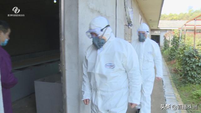株洲市林业局严格落实“一封控四严禁”强化野生动物监管