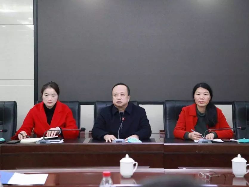 芦淞区迅速传达贯彻省、市新型冠状病毒感染的肺炎疫情防控工作视频调度会议精神