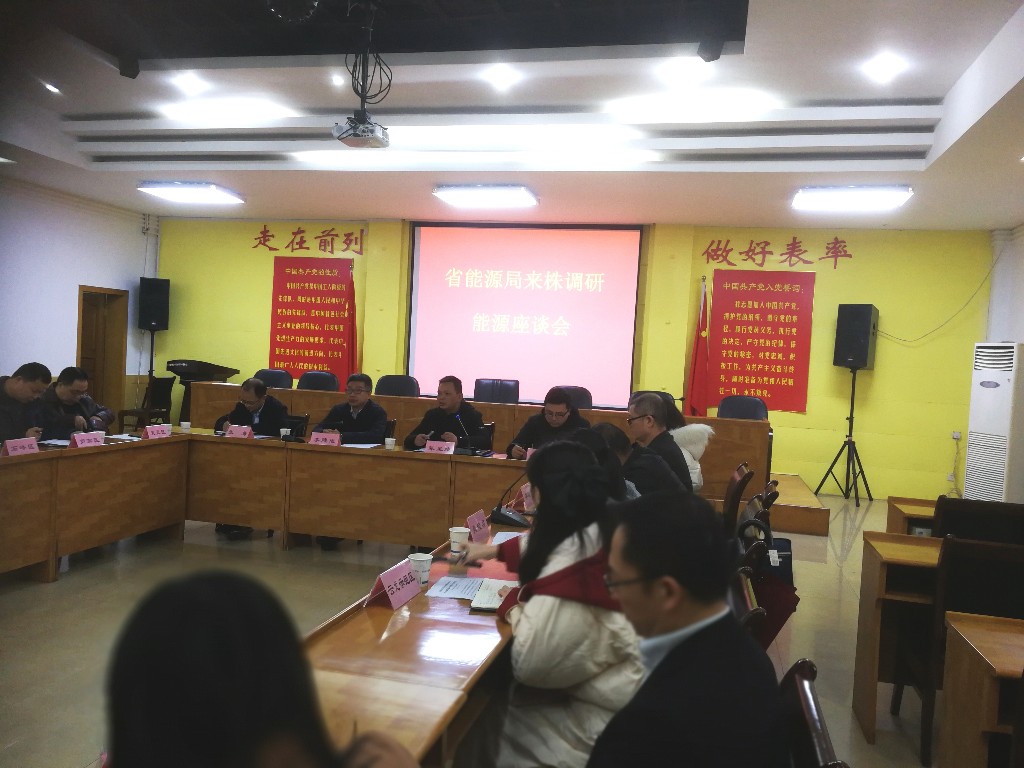 省能源局到株洲开展能源工作调研