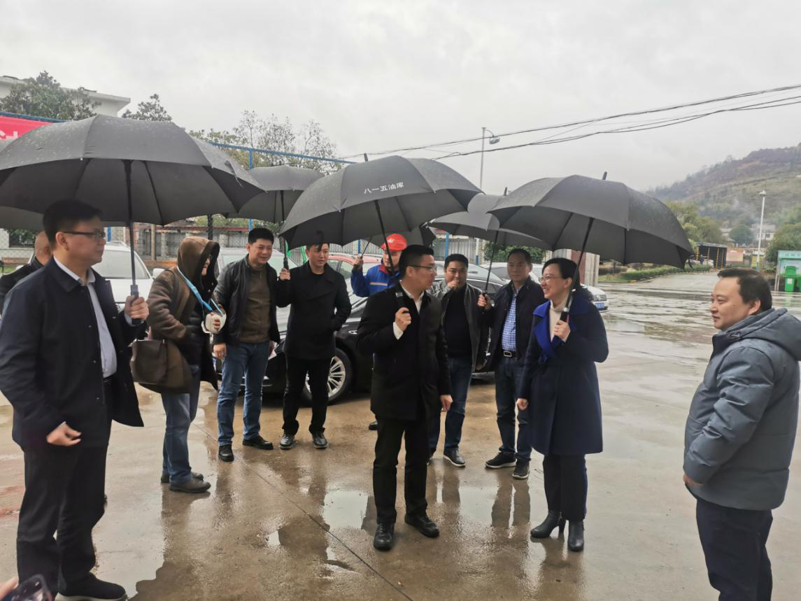 株洲市生态环境局局长彭小中冒雨带队开展春节特护期环境安全检查