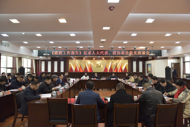 王利波主持召开《政府工作报告》征求人大代表、政协委员意见座谈会