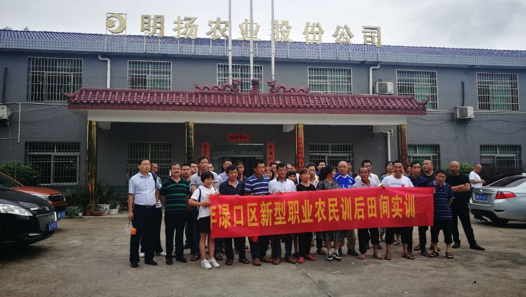 湖南朱亭现代农业孵化实训基地有限公司入选全国农村创新创业孵化实训基地