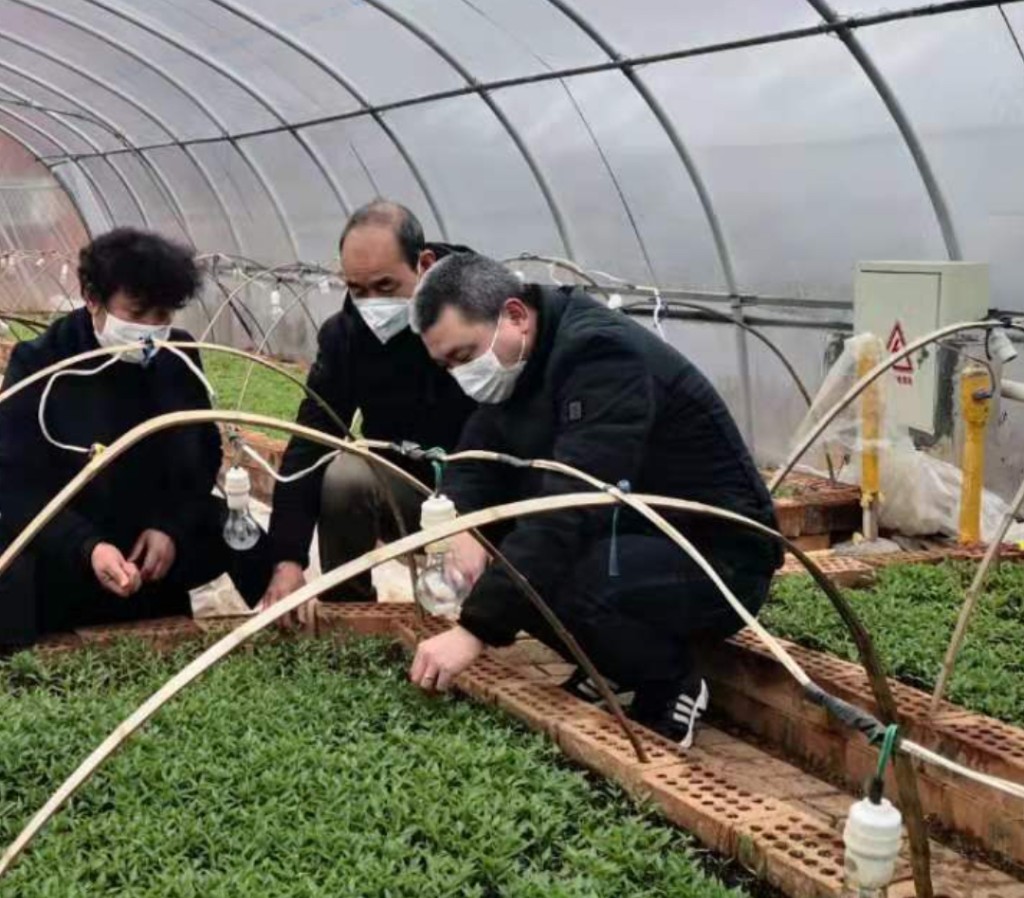 渌口区农业农村局全力保障疫情期间蔬菜供应生产