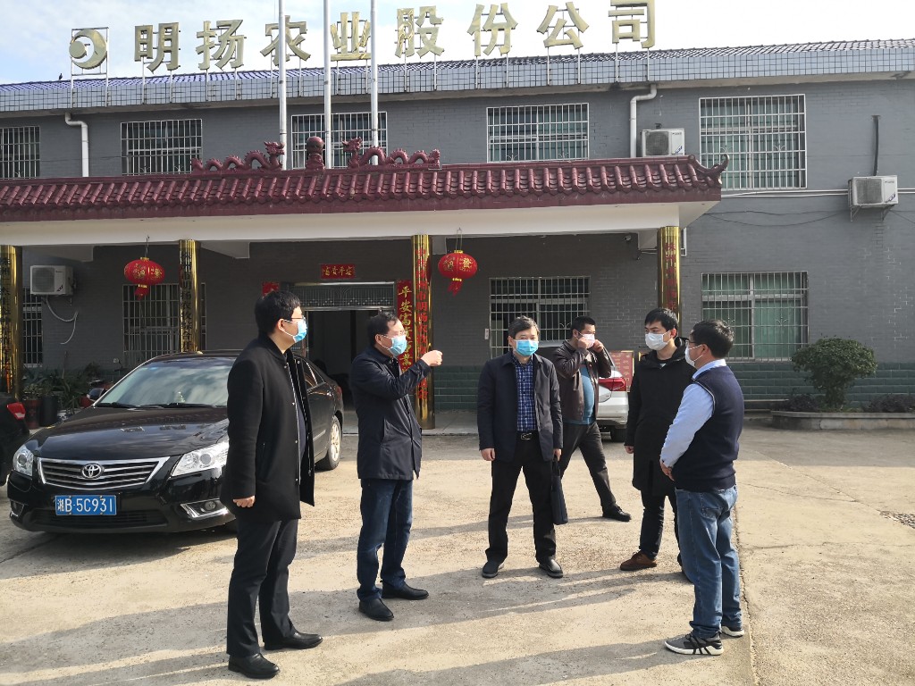 市农业农村局赴渌口区调研农村地区新冠肺炎疫情防控工作
