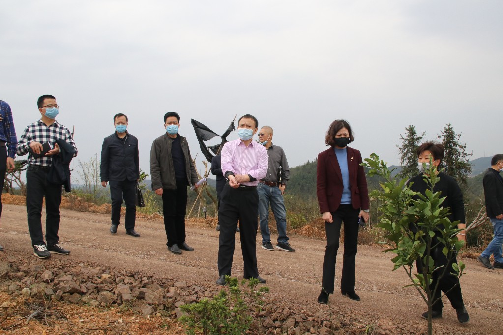 邬凌云调研部署农业产业发展工作