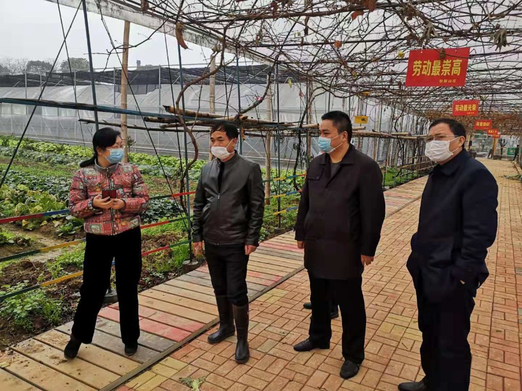 渌口区农业农村局全力保障疫情期间蔬菜供应生产