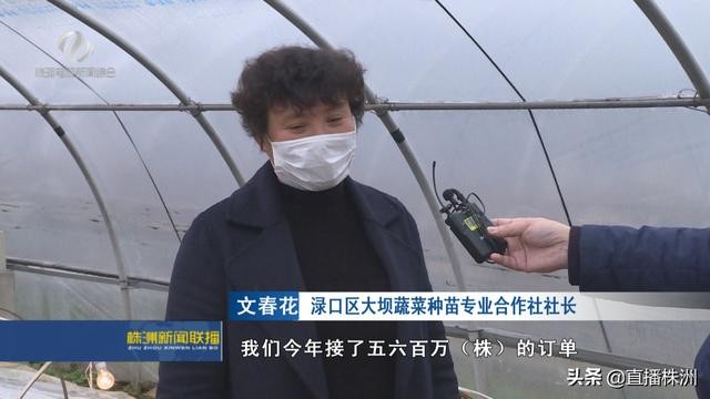 中央一号文件鼓舞人心 种植专业户扩产能