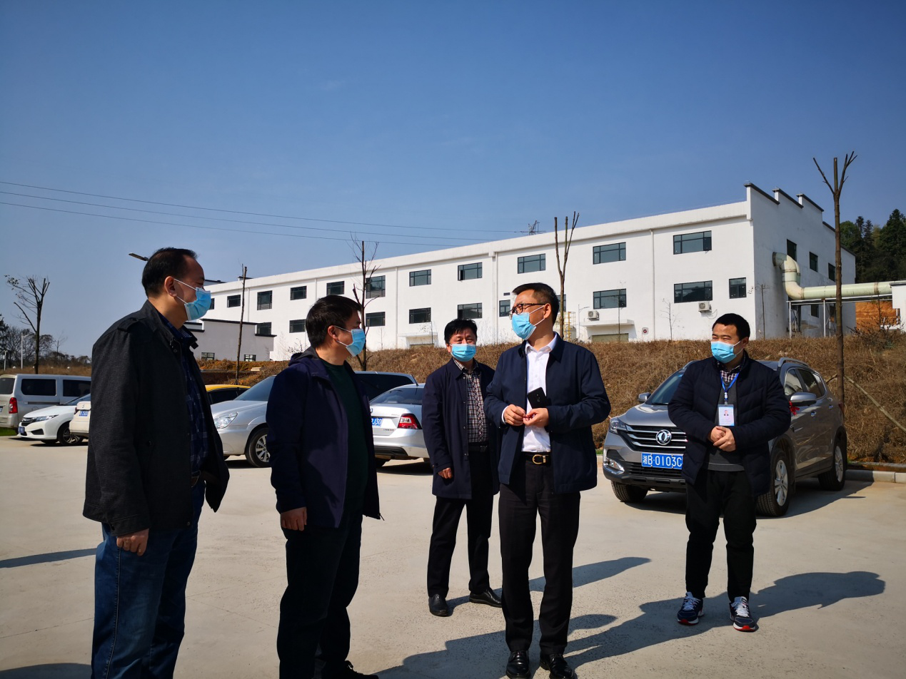 市城管局复工复产暨项目调度会议