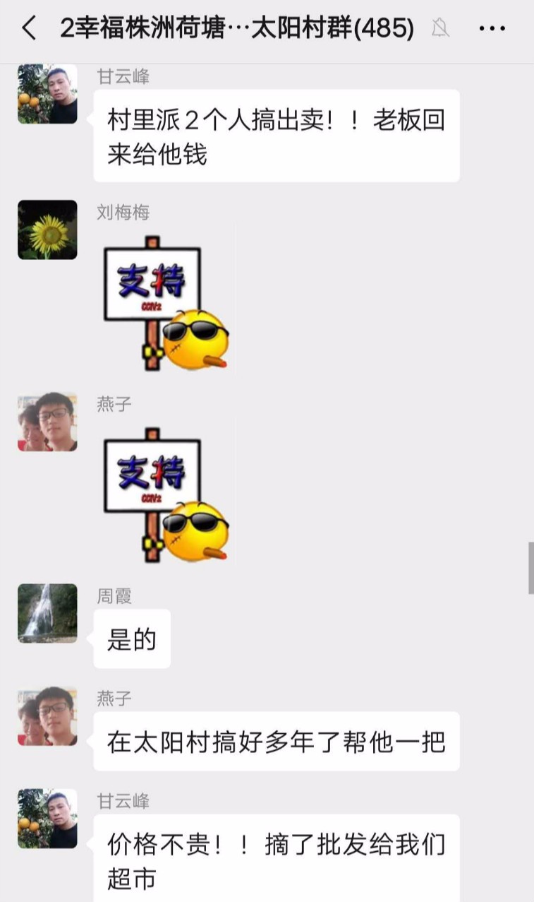 草莓基地无人管  志愿者当起守园人