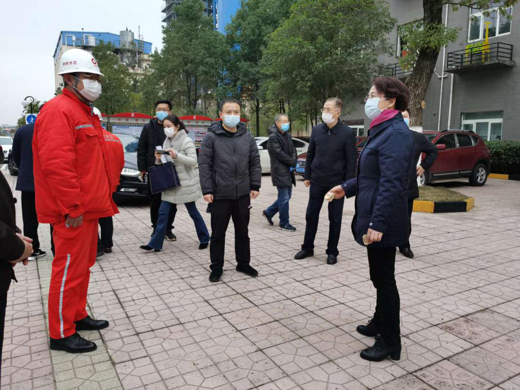 市委常委、政法委书记杨玉芳一行来仙庾镇督查新冠肺炎防控工作