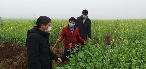 不负春光 抢抓农时 全市农村有序恢复春耕生产