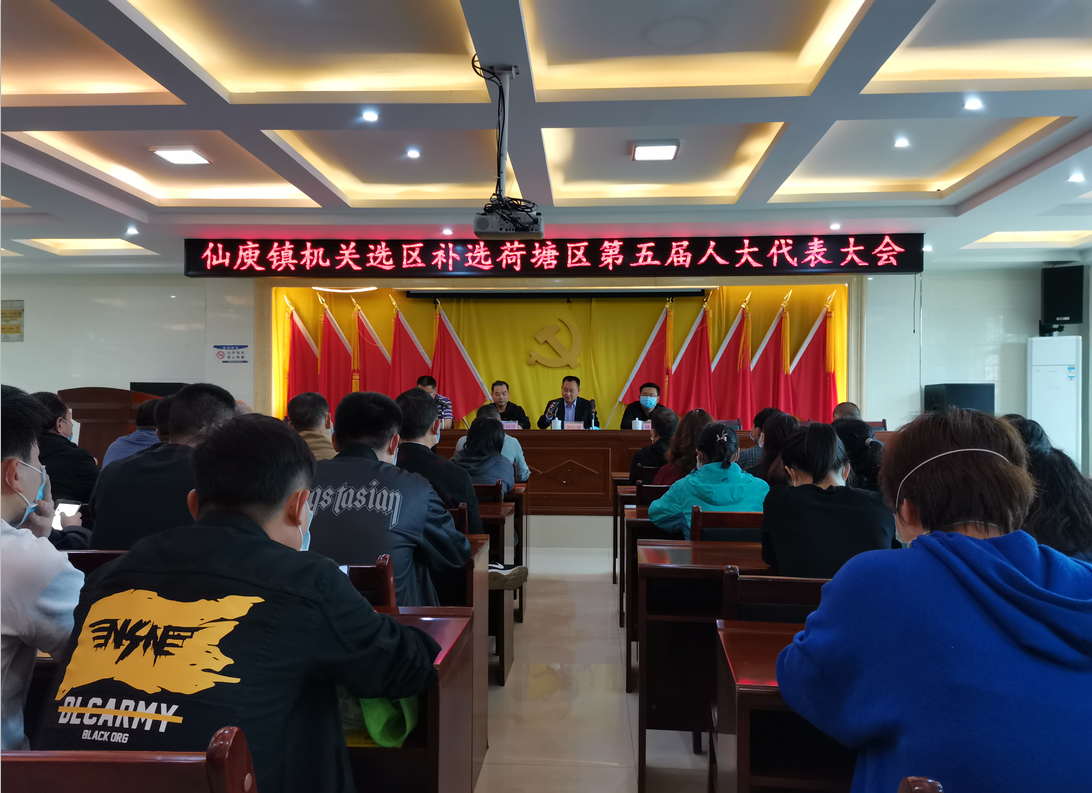 仙庾镇圆满完成荷塘区第五届人大代表大会代表补选工作
