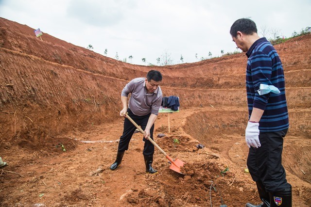 市发展改革委志愿者参加“创建国家生态园林城市，共筑绿色小康”义务植树活动