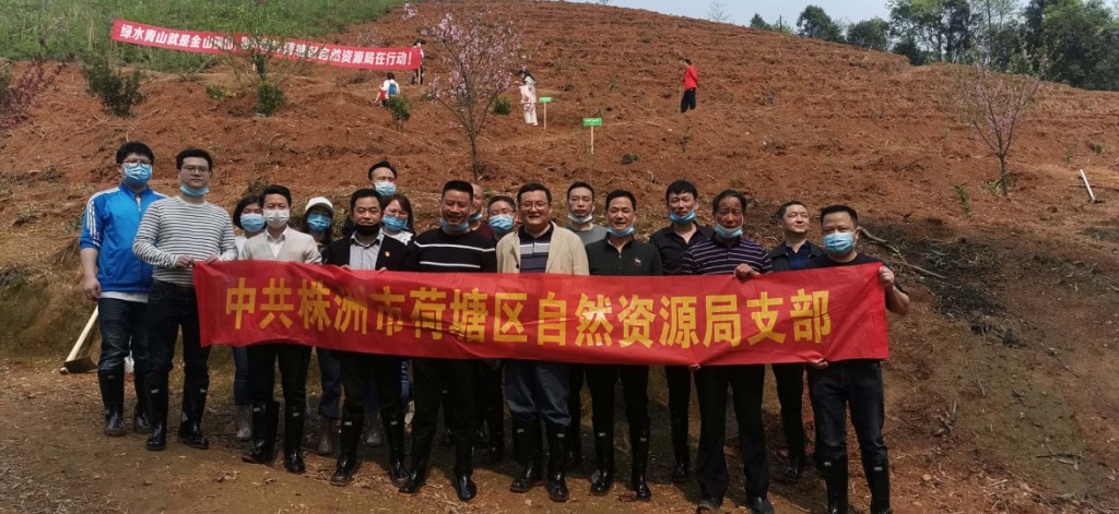 荷塘区自然资源局组织开展义务植树活动