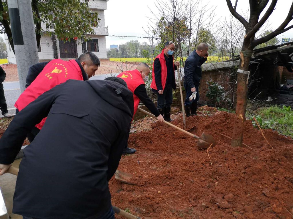 县环卫服务中心：义务植树，美化环境