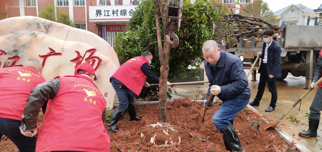 县环卫服务中心：义务植树，美化环境
