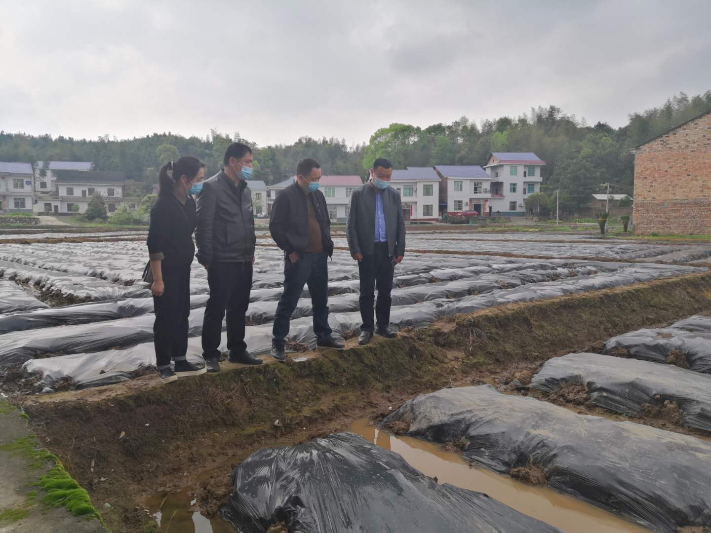县畜牧水产事务中心调研双田村产业扶贫基地