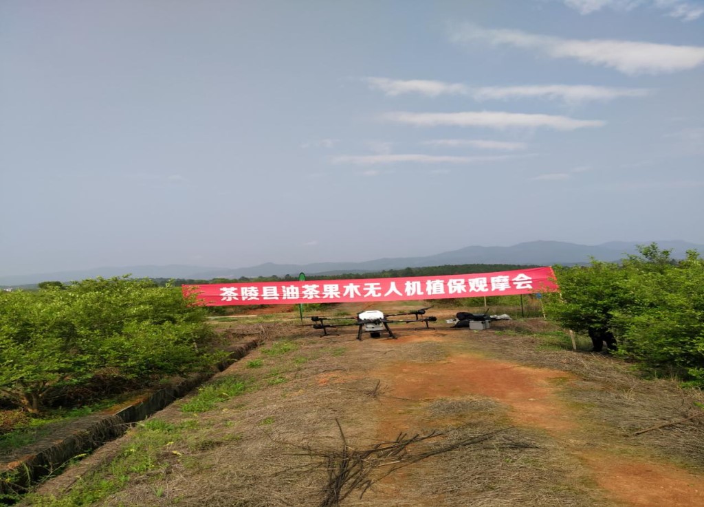 茶陵县举办油茶果木无人机植保观摩会