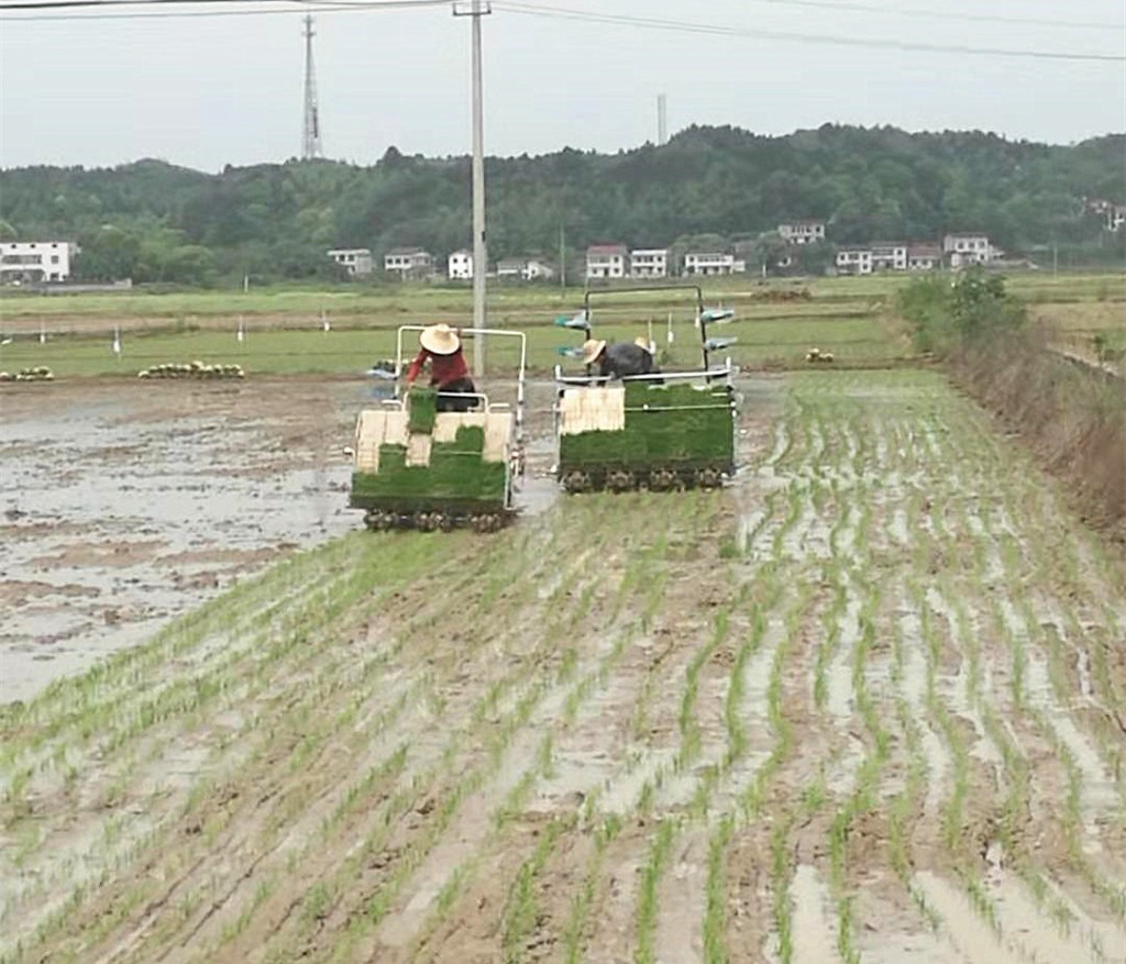 株洲市农业农村局落实农机优惠政策，推动我市农业机械化“上高速”