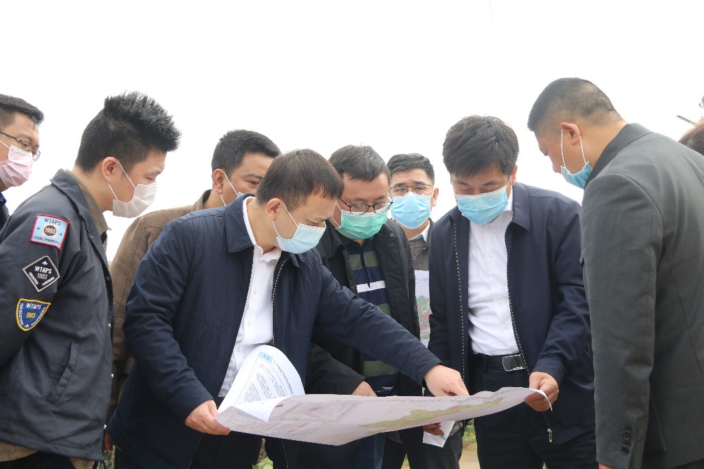 省自然资源厅国土空间规划局来荷塘区开展 乡镇、村庄规划调研