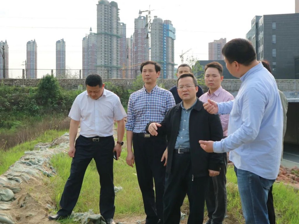市委常委、组织部长羊贵平到芦淞区开展巡河工作