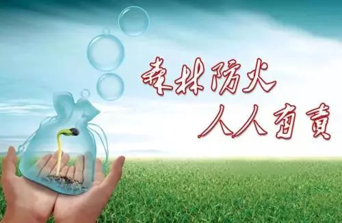 森林防火，人人有责！