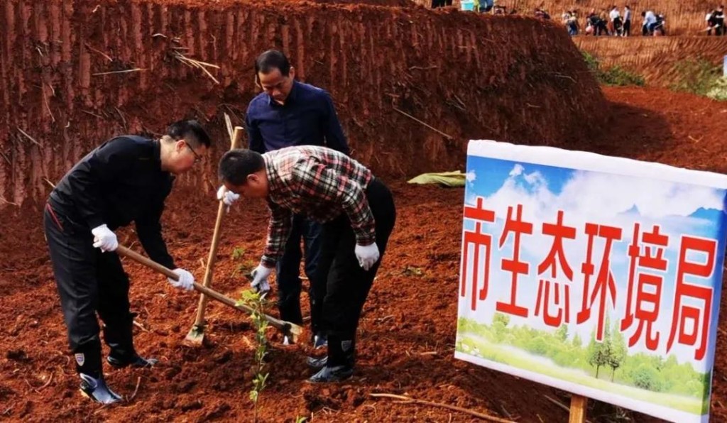 快来！市生态环境局邀你一起为株洲“添枝加叶”