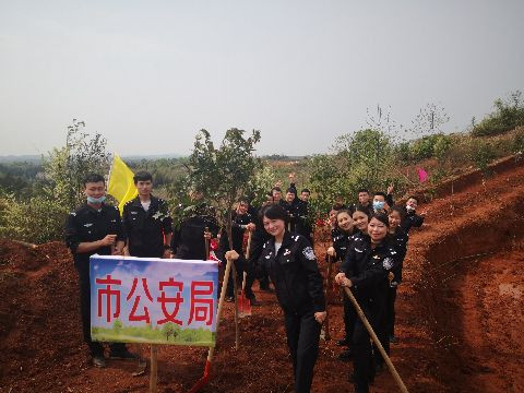 市局团委组织开展义务植树活动