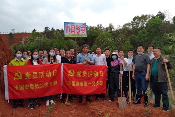 市国资委到天元区三门镇开展义务植树活动