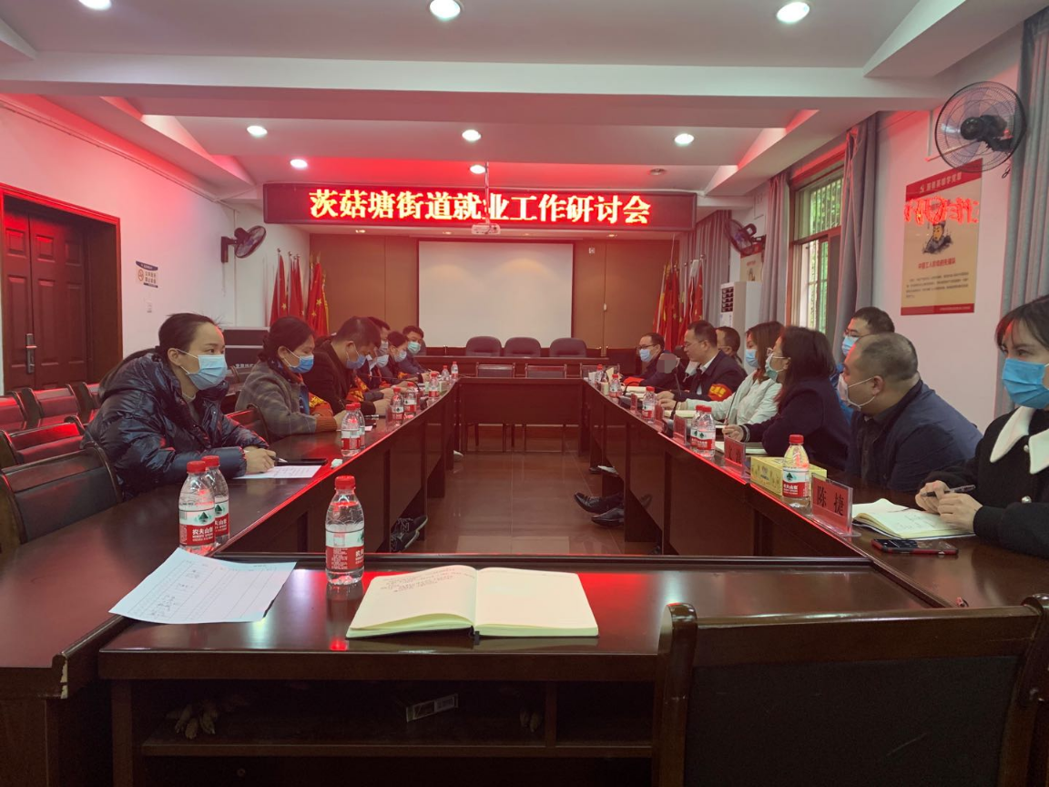 茨菇塘街道召开就业工作研讨会