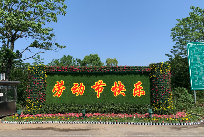 迎“五一”，三万盆鲜花扮靓荷塘
