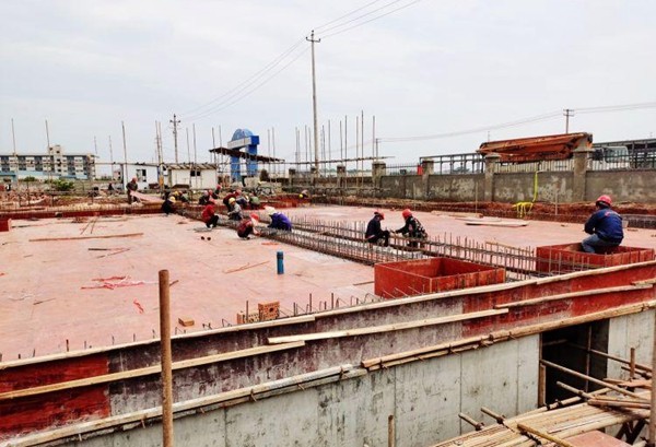 【产业项目建设年】松本林业：6月底完成配套工程建设　实现冰片生产线试投产