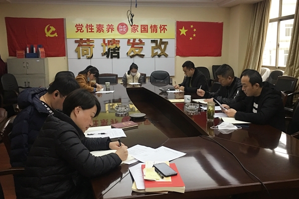 区发改局党支部组织召开4月支部主题党日活动