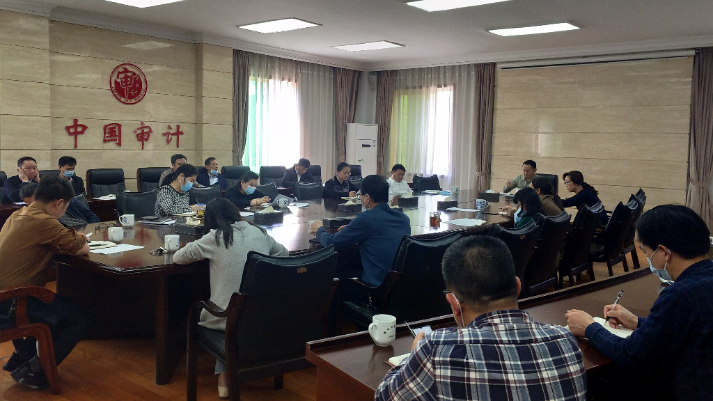 市审计局召开审计项目中期调度会议