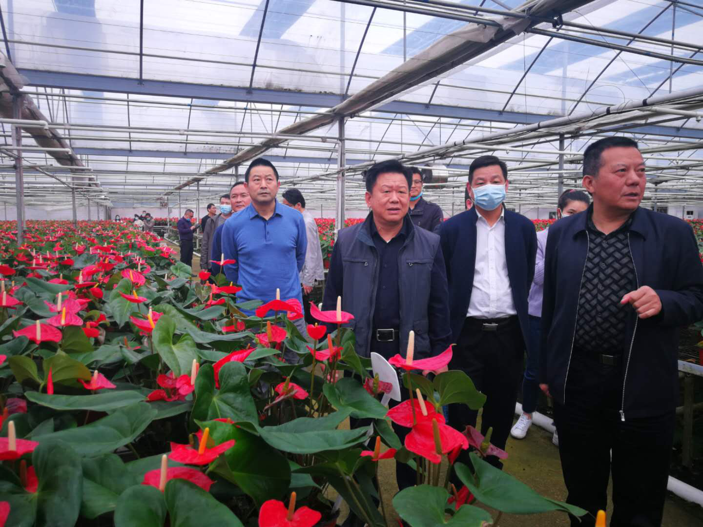 谭可敏副市长调研项目建设和温暖企业行动