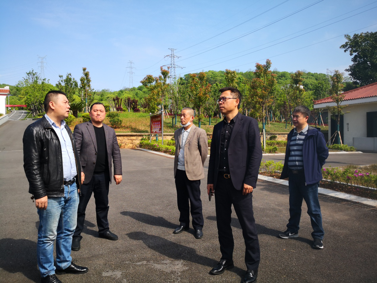 市城管局副书记、副局长刘坚带队走访项目现场