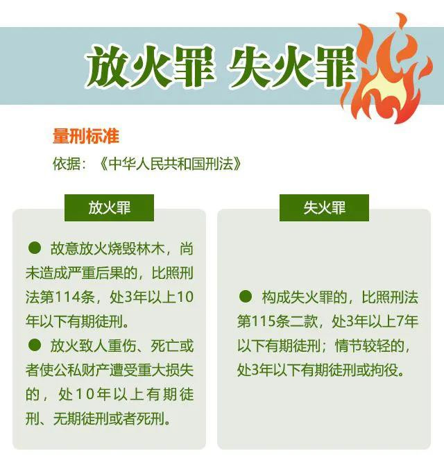 一图看懂森林火灾的罪与罚