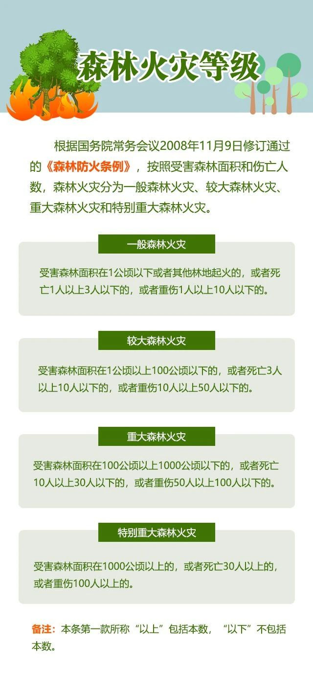 一图看懂森林火灾的罪与罚