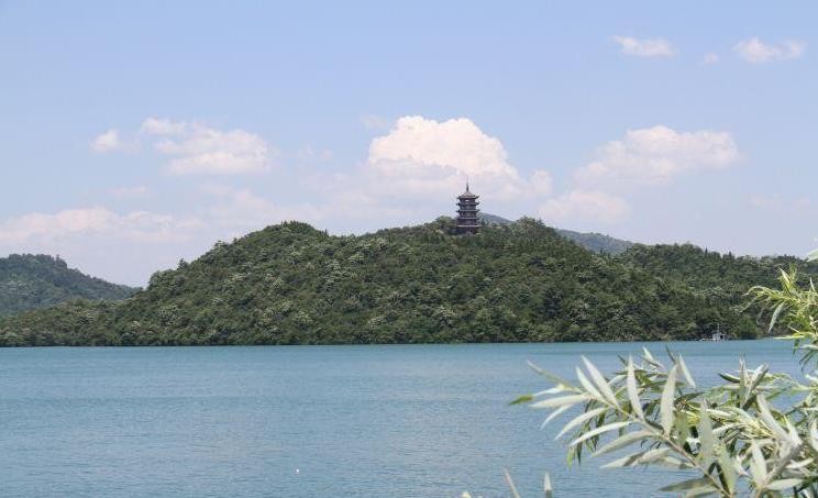 省文化和旅游厅副厅长郭固权来攸调研全域旅游工作